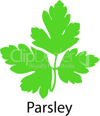 Parsley icon