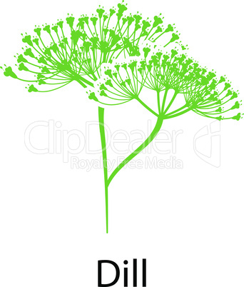 Dill icon