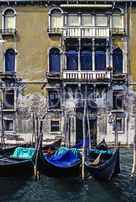 Venice