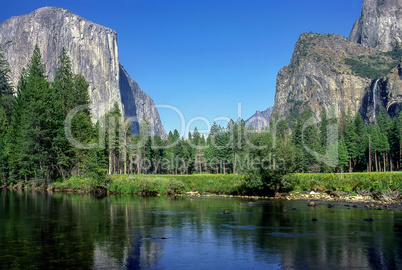 Yosemite National Park