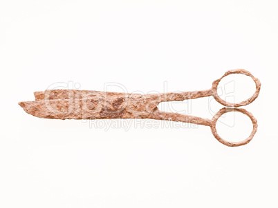 Rusted scissors vintage