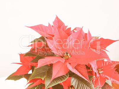 Retro looking Poinsettia Christmas star