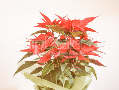 Retro looking Poinsettia Christmas star