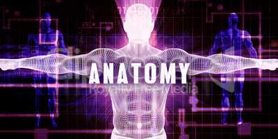 Anatomy