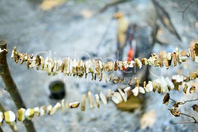 Sliced mushrooms are dried in the open air in the campaign