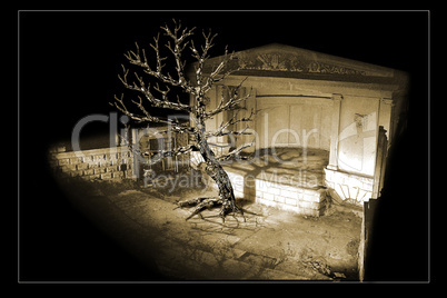 Theater symbol. Photo montage 3d. The withered fantastic tree is on the stage.