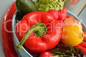 Vegetarian ingredients of salad