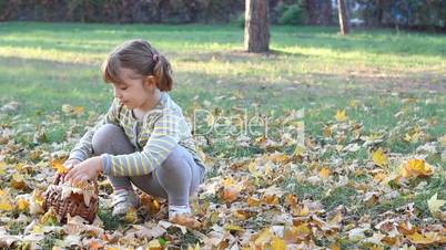 little girl collecting autumn leaves