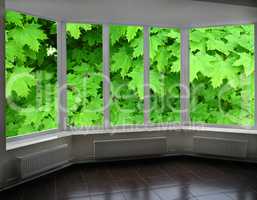 plastic windows of veranda overlooking the green maple