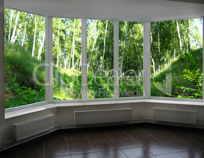 window of veranda overlooking the beautiful birchwood