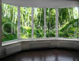 window of veranda overlooking the beautiful birchwood