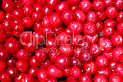 red ripe cherry