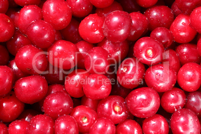 red ripe cherry berries