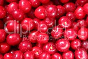 red ripe cherry berries