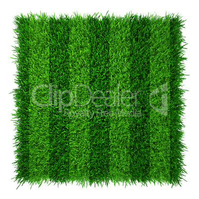 Green grass lawn soccer field. Realistic texture