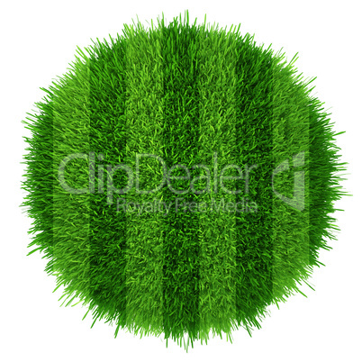 Green grass circle field background. Realistic textured
