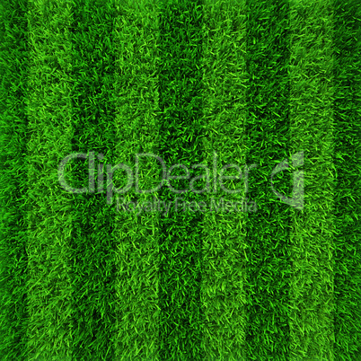 Green grass soccer field background