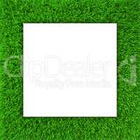 Green grass frame. Background for design website
