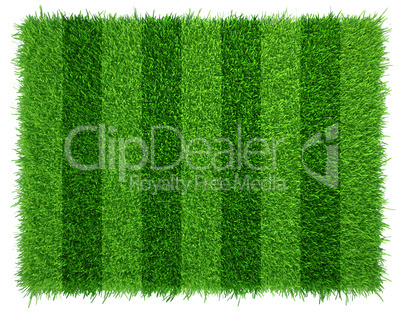 Green grass soccer field background. Realistic textured