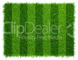 Green grass soccer field background. Realistic textured