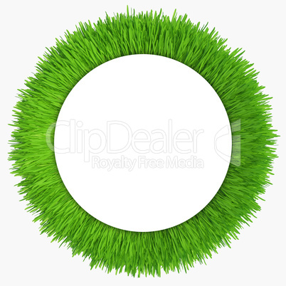 Green grass frame. Background for design