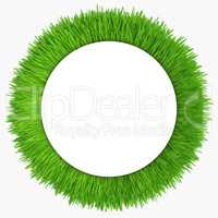 Green grass frame. Background for design