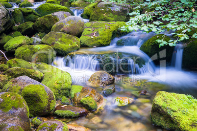 Creek in the Ligurian Alps