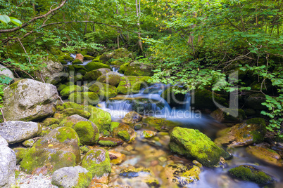 Creek in the Ligurian Alps