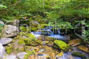 Creek in the Ligurian Alps