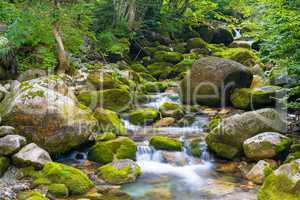 Creek in the Ligurian Alps