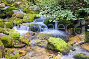 Creek in the Ligurian Alps