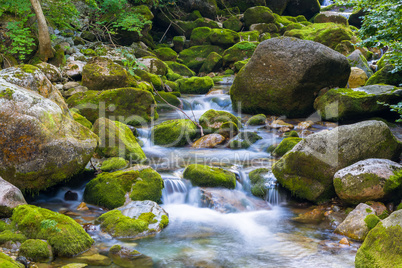 Creek in the Ligurian Alps