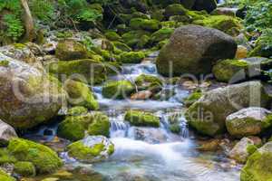 Creek in the Ligurian Alps