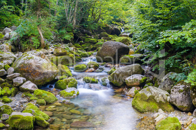 Creek in the Ligurian Alps