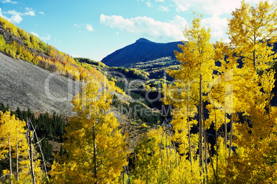 Colorado Autumn