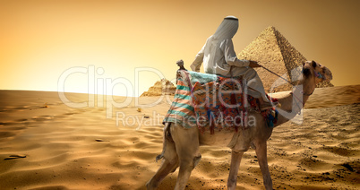 Bedouin on camel in desert