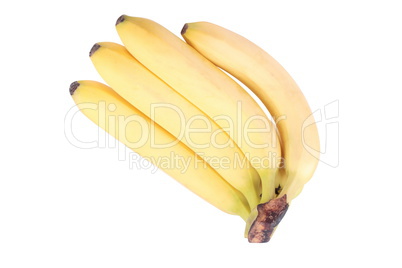 many yellow banana isolated