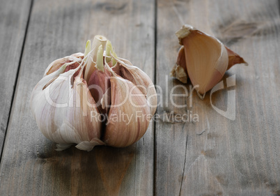 garlic