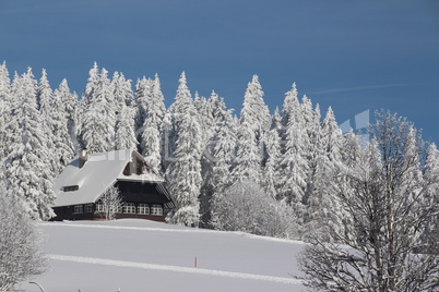 Winter am Feldberg