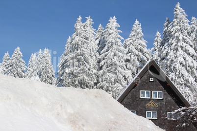 Winter am Feldberg