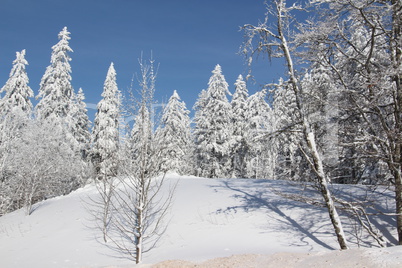 Winter am Feldberg