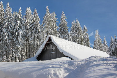 Winter am Feldberg