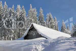 Winter am Feldberg