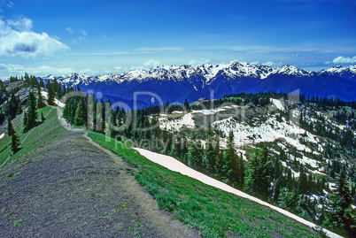 Hurricane Ridge