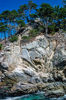 Point Lobos, California