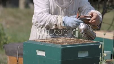 Imker kontolliert Bienenstock vor Honigernte