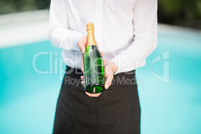Midsection of waiter holding champagne bottle