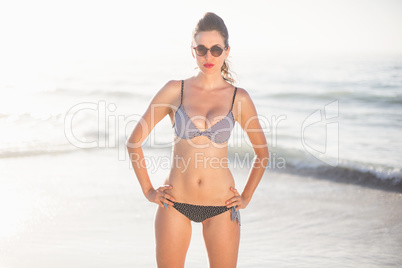 Glamorous woman in bikini standing on the beach