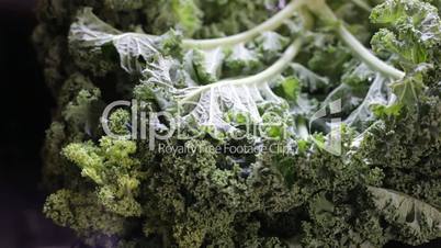 Kale macro