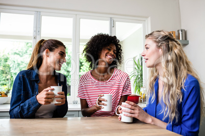 Young female friends talking while holding coffee mug